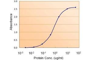 AP20111PU-N PAX4 antibody (1. (PAX4 antibody  (Internal Region))