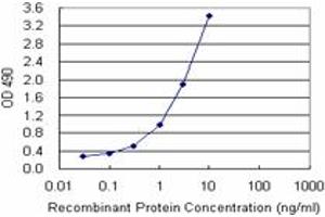 Sandwich ELISA detection sensitivity ranging from 0.