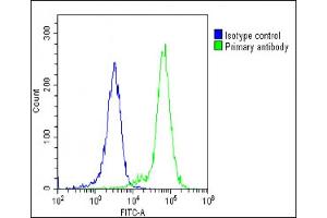 Overlay histogram showing K562 cells stained with (ABIN1881403 and ABIN2838826)(green line).