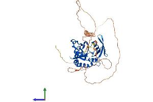 AlphaFold protein structure predicition of Human Recombinant CTDSPL2 Protein, UniprotID Q05D32