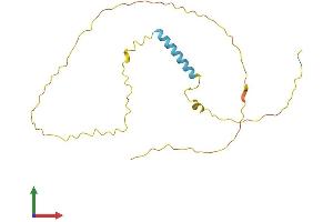 Protein Structure (PS) image for Transcription Elongation Factor A (SII)-Like 5 (TCEAL5) (AA 1-200) protein (His tag) (ABIN7559251)