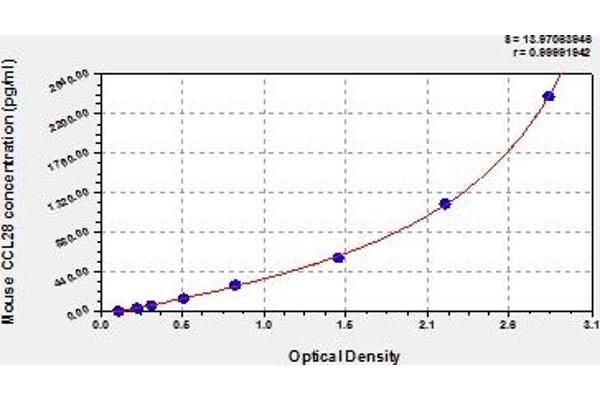 CCL28 ELISA Kit