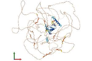 AlphaFold protein structure predicition of Human Recombinant RNF111 Protein, UniprotID Q6ZNA4 (RNF111 Protein (AA 1-994) (His tag))