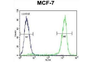 ZNF829 Antibody (Center) flow cytometric analysis of MCF-7 cells (right histogram) compared to a negative control cell (left histogram). (ZNF829 antibody  (Middle Region))