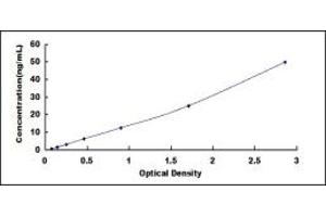 Typical standard curve (Lipocalin 2 ELISA Kit)