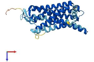 AlphaFold protein structure predicition of Human Recombinant OR8G3P Protein, UniprotID P0DMU2 (OR8G3P Protein (AA 1-310) (His tag))