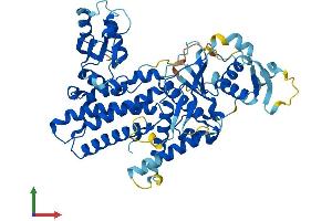 AlphaFold protein structure predicition of Human Recombinant DALRD3 Protein, UniprotID Q5D0E6
