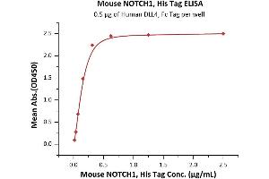 ELISA image for Notch 1 (NOTCH1) (AA 19-526) (Active) protein (His tag) (ABIN7013490)
