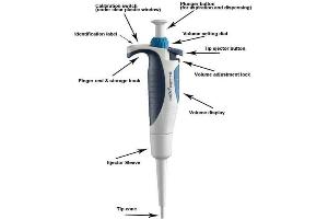 Image no. 4 for NextPette™ Pipette (100 - 1000µL) (ABIN6279964)