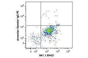 Flow Cytometry (FACS) image for anti-Zinc Finger and BTB Domain Containing 16 (ZBTB16) antibody (PE) (ABIN2662834) (ZBTB16 antibody  (PE))