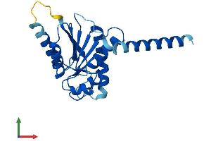 Protein Structure (PS) image for Asparagine-Linked Glycosylation 14 Homolog (ALG14) (AA 1-217) protein (His tag) (ABIN7560818)