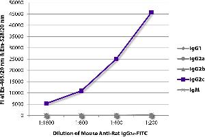 FLISA plate was coated with purified rat IgG1, IgG2a, IgG2b, IgG2c, and IgM. (Mouse anti-Rat IgG2c Antibody (Cy5))