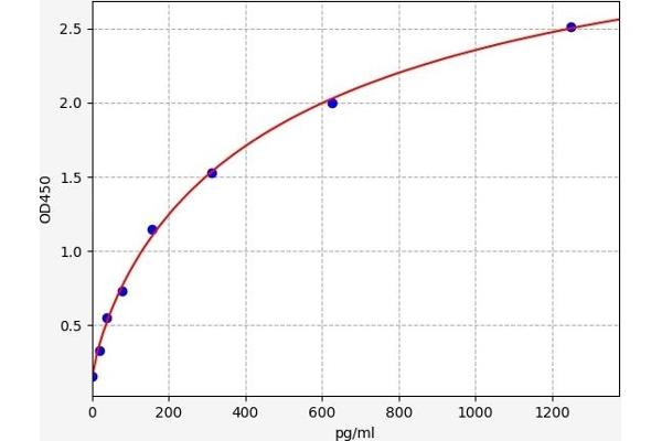 Cx40/GJA5 ELISA Kit