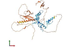 AlphaFold protein structure predicition of Human Recombinant ZNF410 Protein, UniprotID Q86VK4