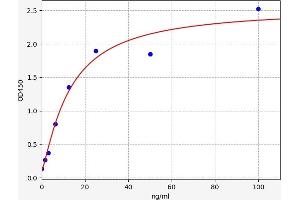 Typical standard curve (PKC delta ELISA Kit)