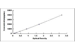 Typical standard curve (PIINP ELISA Kit)