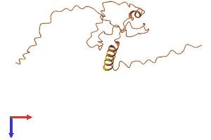 AlphaFold protein structure predicition of Human Recombinant CT62 Protein, UniprotID P0C5K7 (CT62 Protein (AA 1-136) (His tag))
