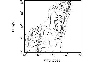 Two-color analysis of the expression of CD32 on rat splenocytes. (Fc gamma RII (CD32) antibody)