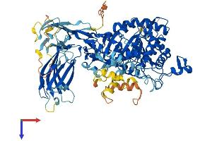 AlphaFold protein structure predicition of Mouse Recombinant Pla2g4d Protein, UniprotID Q50L43 (PLA2G4D Protein (AA 1-825) (His tag))