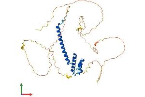 AlphaFold protein structure predicition of Mouse Recombinant Neurod2 Protein, UniprotID Q62414