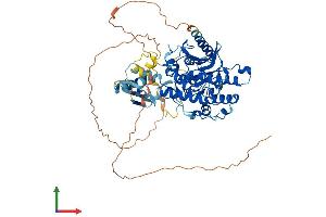 AlphaFold protein structure predicition of Mouse Recombinant Adad1 Protein, UniprotID Q5SUE7