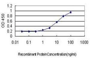 Detection limit for recombinant GST tagged GUCY2D is approximately 0. (GUCY2D antibody  (AA 521-630))