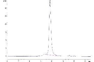 The purity of Biotinylated Human LRRC15 is greater than 95 % as determined by SEC-HPLC. (LRRC15 Protein (AA 22-538) (His-Avi Tag,Biotin))