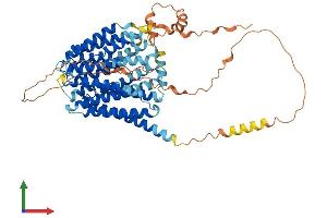 AlphaFold protein structure predicition of Human Recombinant SLC19A1 Protein, UniprotID P41440
