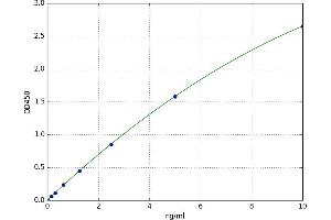 Progestagen-Associated Endometrial Protein (PAEP) ELISA Kit