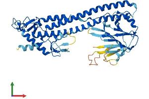 Protein Structure (PS) image for Tripartite Motif Containing 51 (TRIM51) (AA 1-452) protein (His tag) (ABIN7544772)
