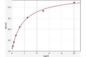 Typical standard curve (DUSP5 ELISA Kit)