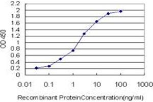 Detection limit for recombinant GST tagged MAPK3 is approximately 0. (ERK1 antibody  (AA 279-379))