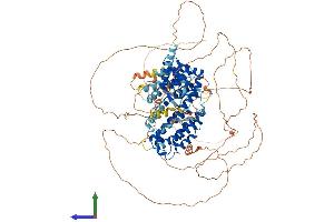 AlphaFold protein structure predicition of Mouse Recombinant Rfx6 Protein, UniprotID Q8C7R7