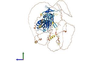 AlphaFold protein structure predicition of Human Recombinant STON2 Protein, UniprotID Q8WXE9 (Stonin 2 (STON2) (AA 1-905) protein (His tag))
