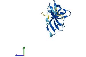 Protein Structure (PS) image for IMP1 Inner Mitochondrial Membrane Peptidase-Like (IMMP1L) (AA 1-166) protein (His tag) (ABIN7548579)