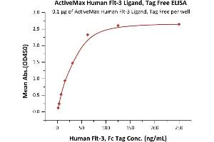 Immobilized Human Flt-3 Ligand, Tag Free (ABIN2181107,ABIN3071731,ABIN2693588) at 1 μg/mL (100 μL/well) can bind Human Flt-3, Fc Tag (ABIN6731308,ABIN6809860) with a linear range of 2-31 ng/mL (QC tested). (FLT3LG Protein (AA 27-185))