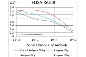 Red: Control Antigen (100ng) ; Purple: Antigen (10ng) ; Green: Antigen (50ng) ; Blue: Antigen (100ng). (MARK3 antibody  (AA 435-658))