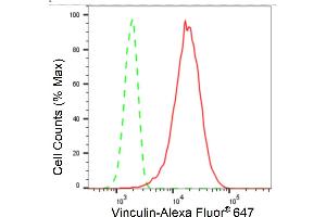 Flow cytometric analysis of Vinculin expression in HT- cells using Vinculin antibody (ABIN7800842), 1:2,000). (Recombinant Vinculin antibody)