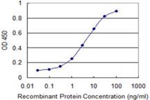 Detection limit for recombinant GST tagged HNRNPA1 is 0. (HNRNPA1 antibody  (AA 1-320))