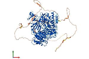 Protein Structure (PS) image for SEC24 Family, Member D (S. Cerevisiae) (SEC24D) (AA 1-1032) protein (His tag) (ABIN7555359)