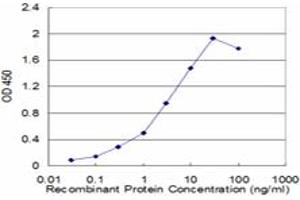 Detection limit for recombinant GST tagged GSTP1 is approximately 0. (GSTP1 antibody  (AA 1-210))