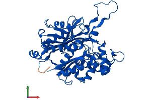 Protein Structure (PS) image for Acetyl-CoA Acetyltransferase 2 (ACAT2) (AA 1-397) protein (His tag) (ABIN7544314)