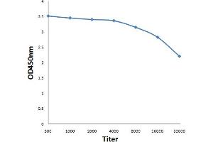 Antigen: 0. (HMGB4 antibody  (AA 31-130))