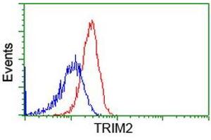 Flow Cytometry (FACS) image for anti-Tripartite Motif Containing 2 (TRIM2) (AA 1-100), (AA 645-744) antibody (ABIN1490540) (TRIM2 antibody  (AA 1-100, AA 645-744))