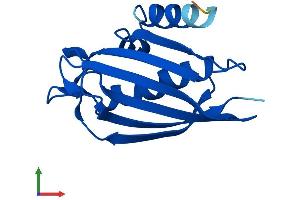 Protein Structure (PS) image for Acyl-CoA Thioesterase 13 (ACOT13) (AA 1-140) protein (His tag) (ABIN7551806)