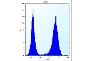 SPOPL Antibody (Center) (ABIN656695 and ABIN2845929) flow cytometric analysis of Jurkat cells (right histogram) compared to a negative control cell (left histogram). (SPOPL antibody  (AA 221-249))