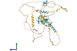 AlphaFold protein structure predicition of Human Recombinant YAP1 Protein, UniprotID P46937 (YAP1 Protein (AA 1-504) (His tag))