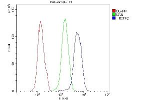Flow Cytometry analysis of U251 cells using anti-GPCR LGR8 antibody (ABIN6719634). (RXFP2 antibody)