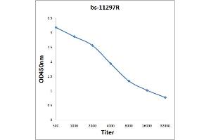 Antigen: 0. (Monoamine Oxidase B antibody  (AA 51-150))