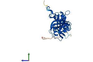 AlphaFold protein structure predicition of Mouse Recombinant Nudt6 Protein, UniprotID Q8CH40 (NUDT6 Protein (AA 1-313) (His tag))